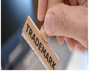 detective agency in delhi