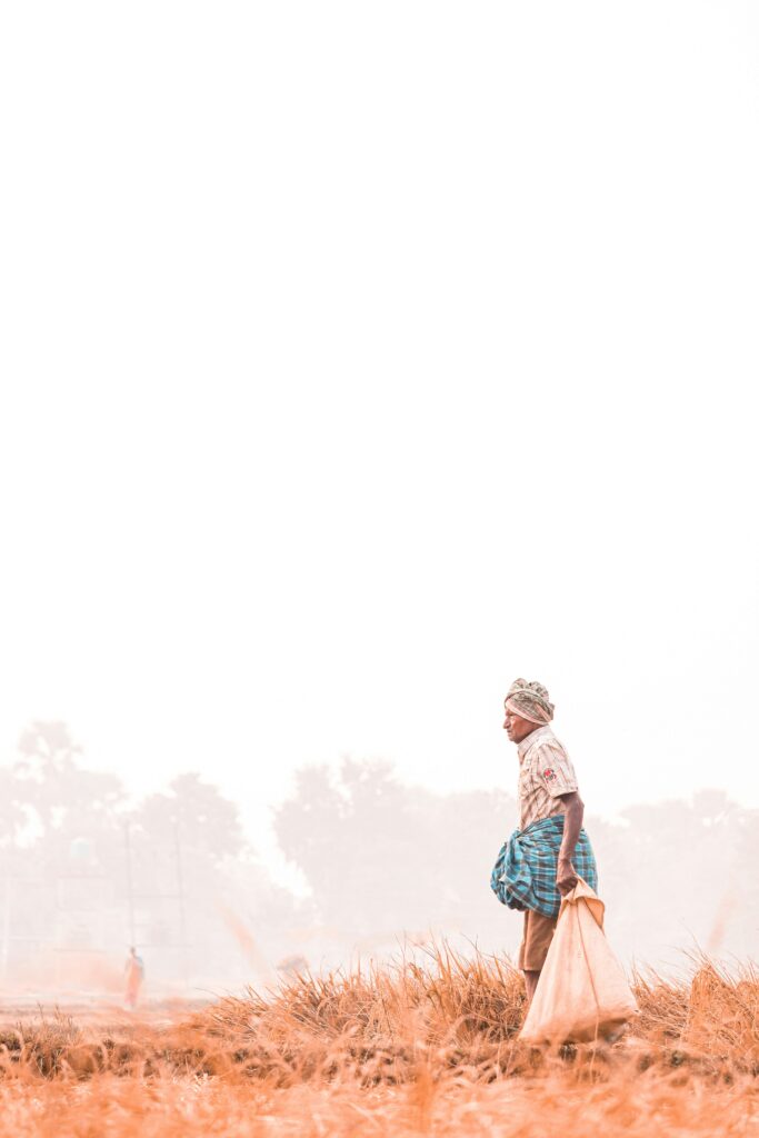 Private Matrimonial Detective in Bihar