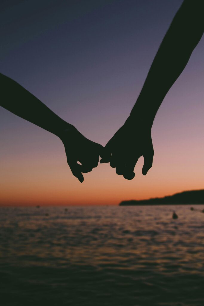 Local matrimonial Investigator in North Delhi